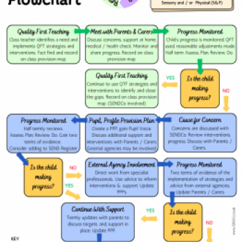 SEND Process Chart