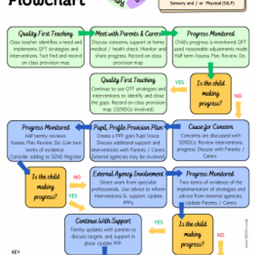 SEND Process Chart