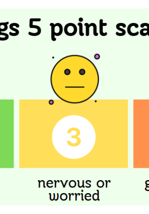 My Feelings 5 Point Scale