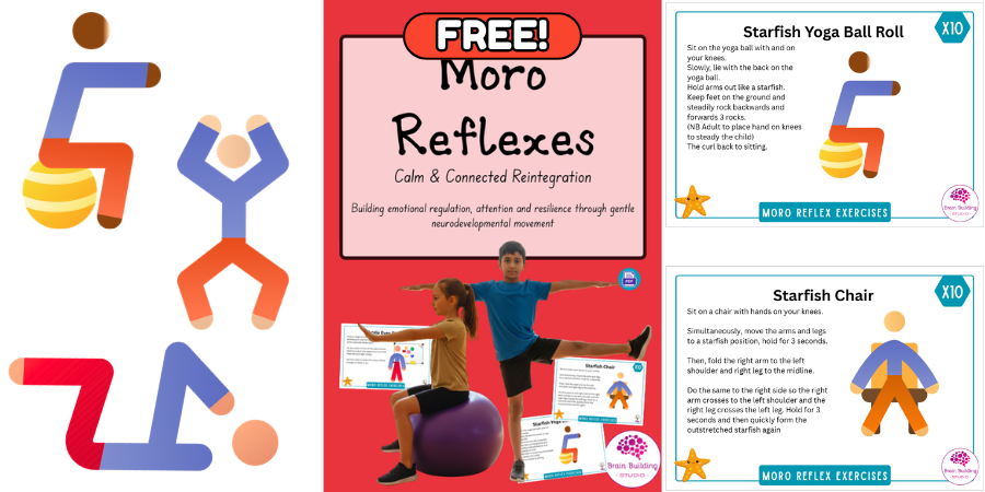 moro reflexes for calm and connection regulation exercises